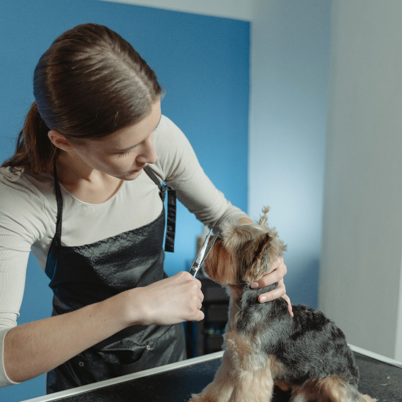 Professional Dog Clipper Grooming Kit™